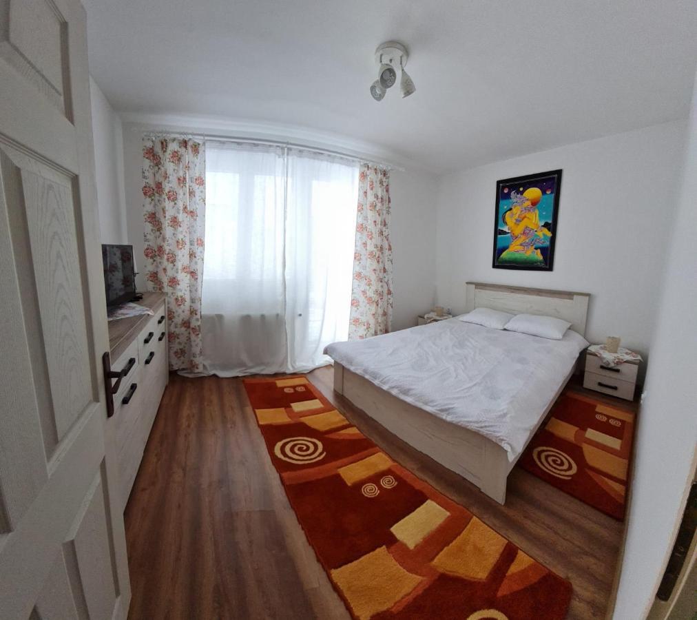 Dddd Apartament Cavnic Eksteriør bilde